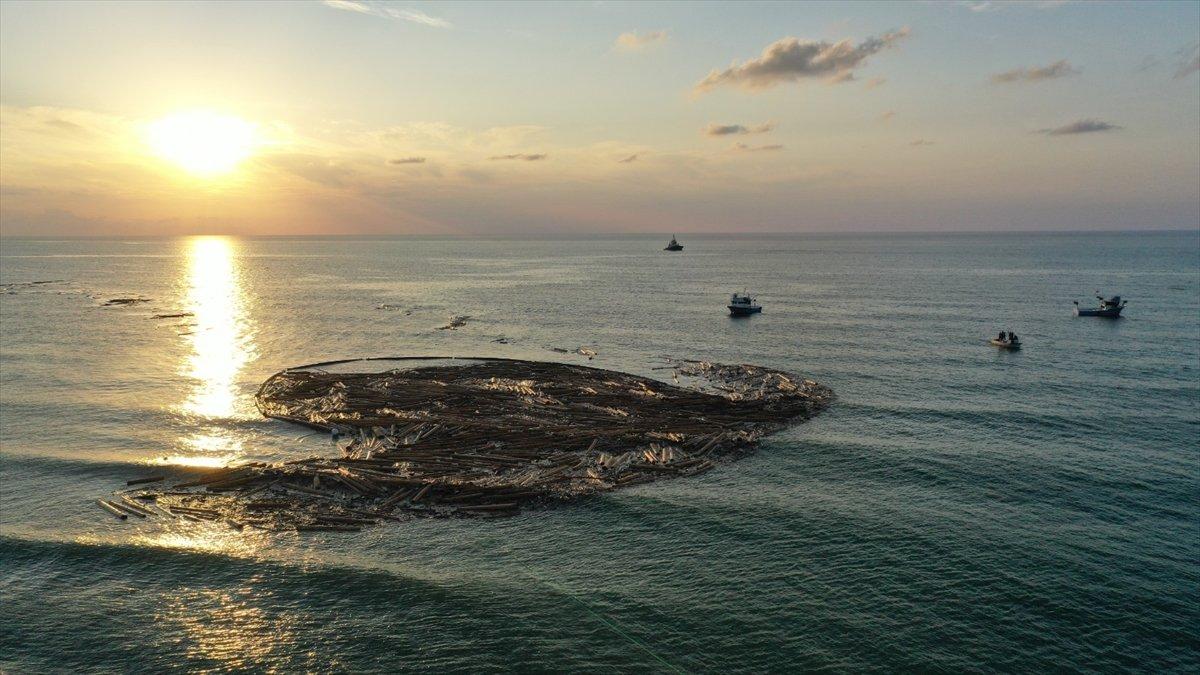 Sel felaketinde sahile vuran tomruklar temizlenmeye başladı
