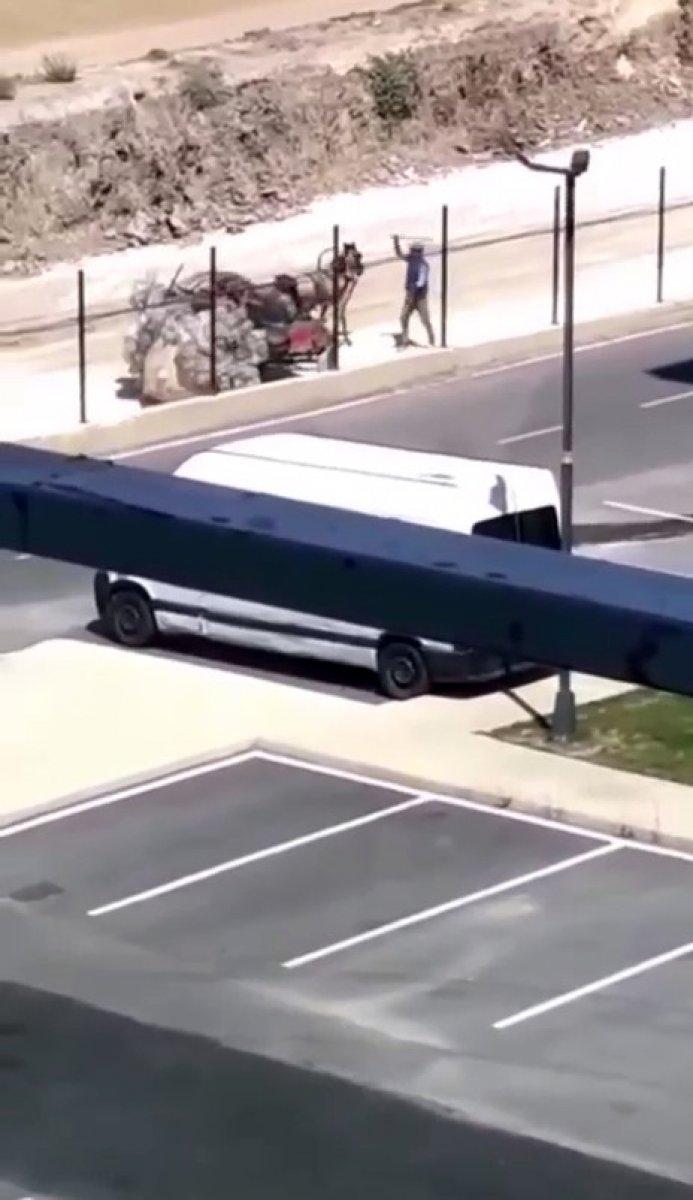 Silivri'de yük taşıyamayan at, sopayla dövüldü