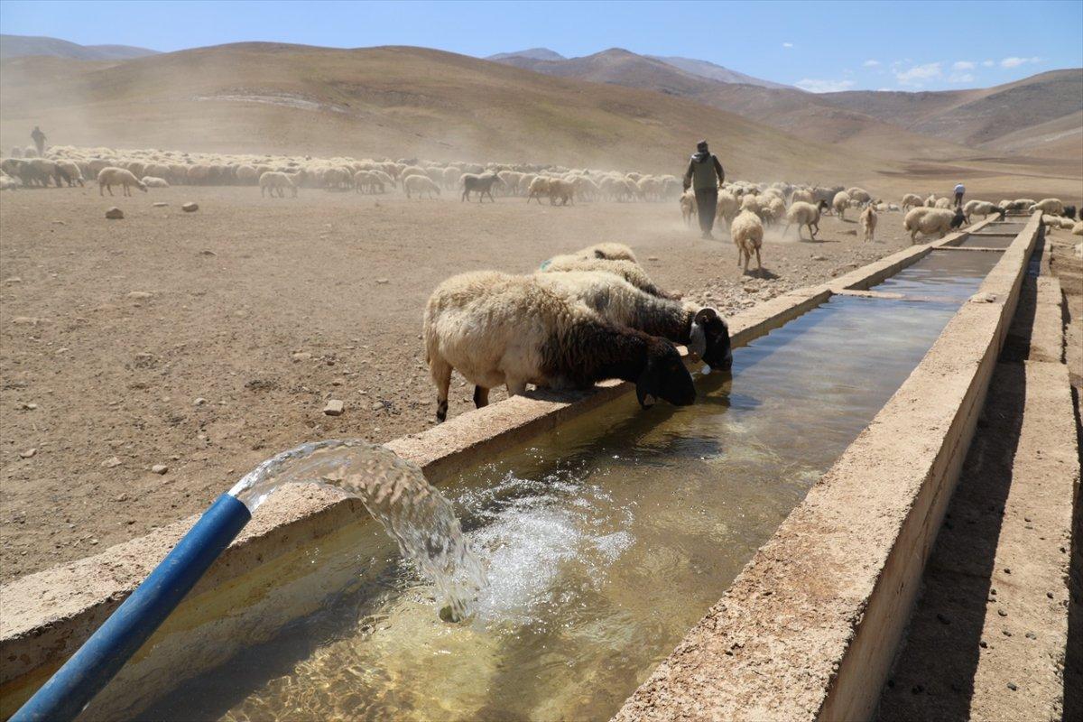 Van'da besiciler, yaylaya su getirilişini halayla kutladı