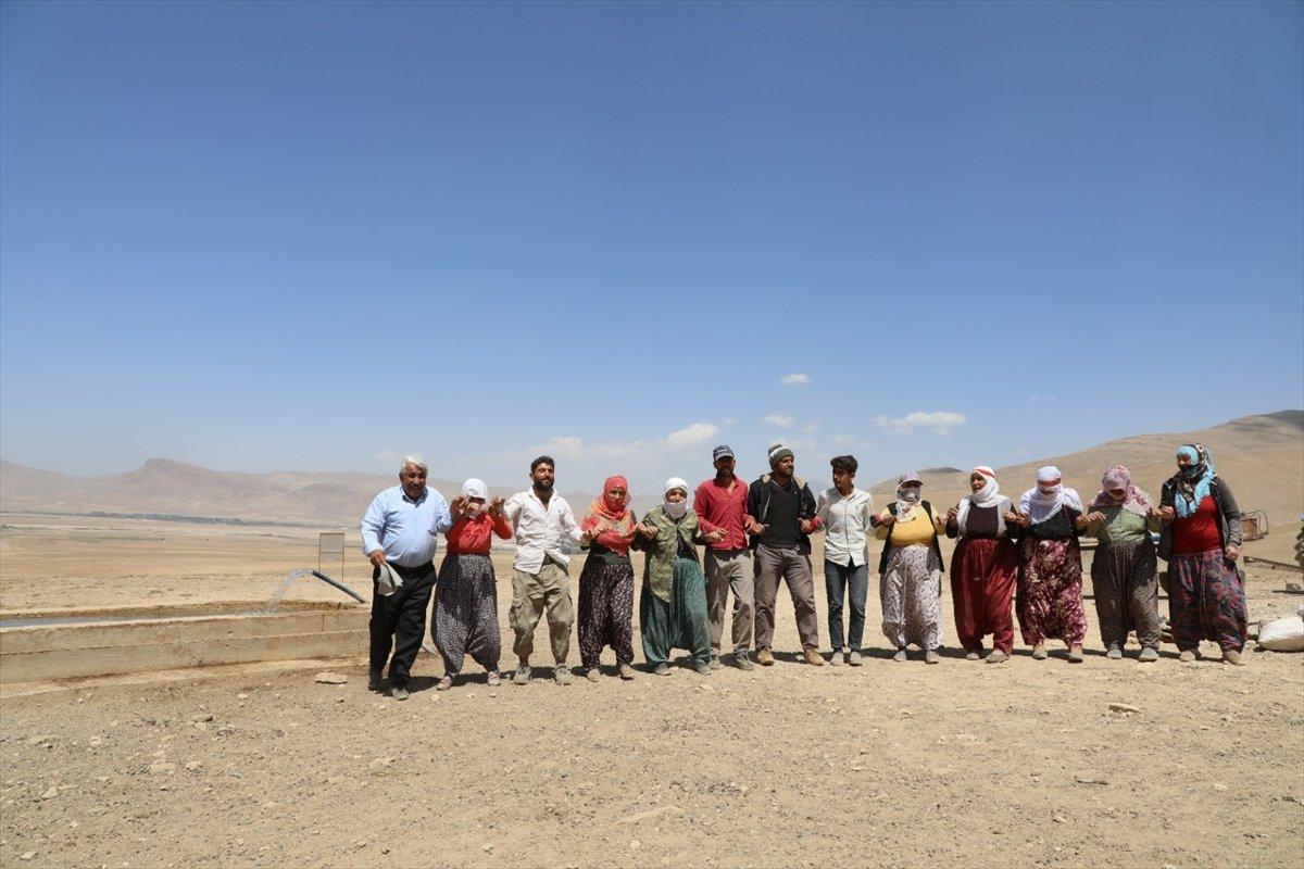 Van'da besiciler, yaylaya su getirilişini halayla kutladı