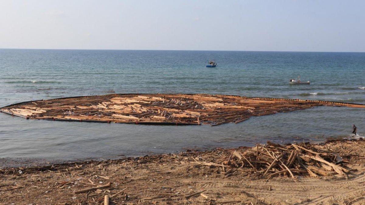 Sel felaketinde sahile vuran tomruklar temizlenmeye başladı