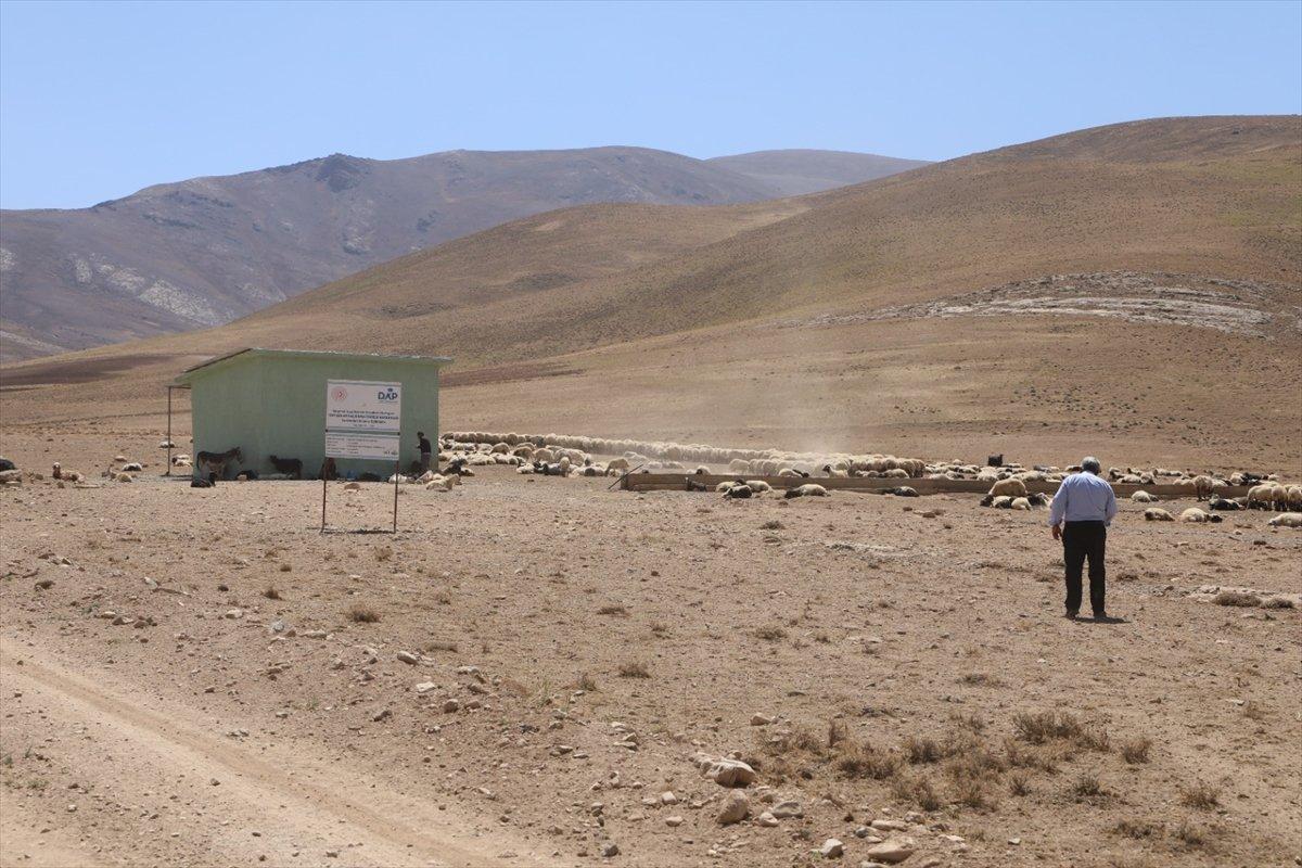 Van'da besiciler, yaylaya su getirilişini halayla kutladı