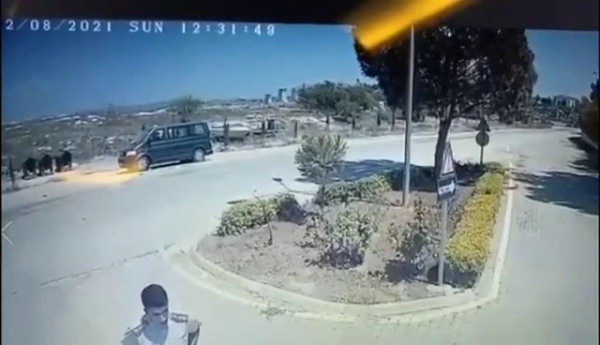 Adana'da güvenlik görevlisi sokak köpeğinin üzerine sıcak su döktü