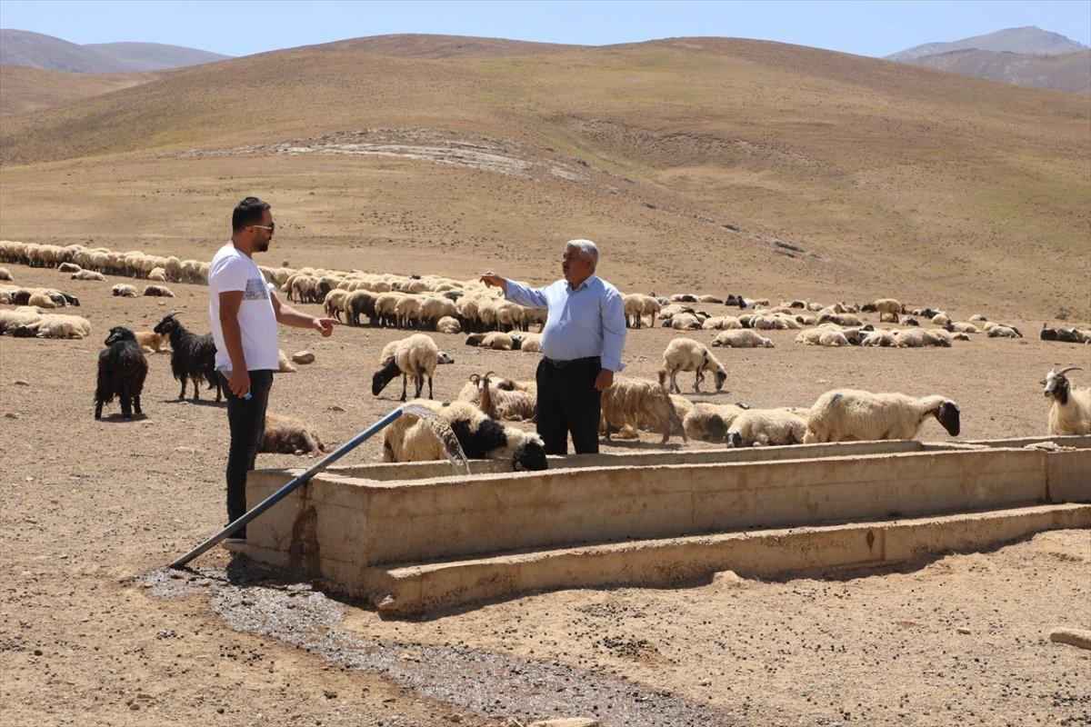 Van'da besiciler, yaylaya su getirilişini halayla kutladı