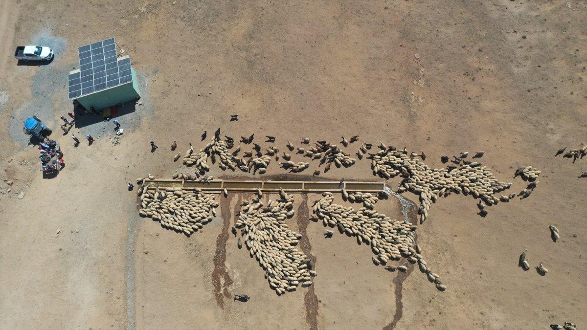 Van'da besiciler, yaylaya su getirilişini halayla kutladı