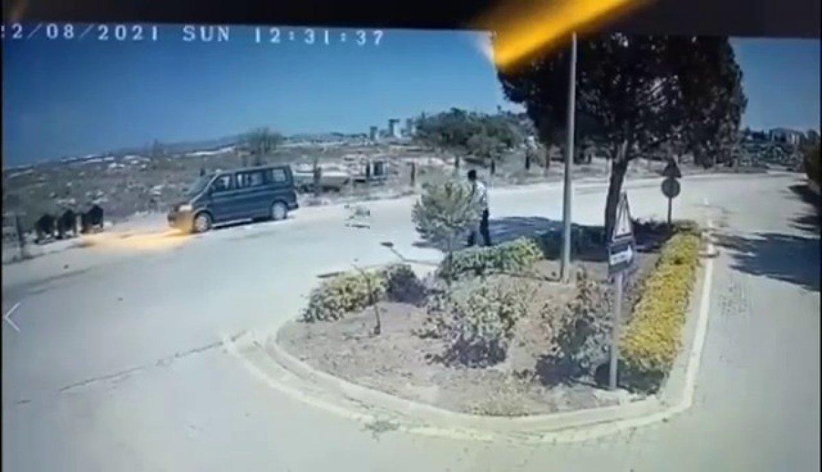 Adana'da güvenlik görevlisi sokak köpeğinin üzerine sıcak su döktü