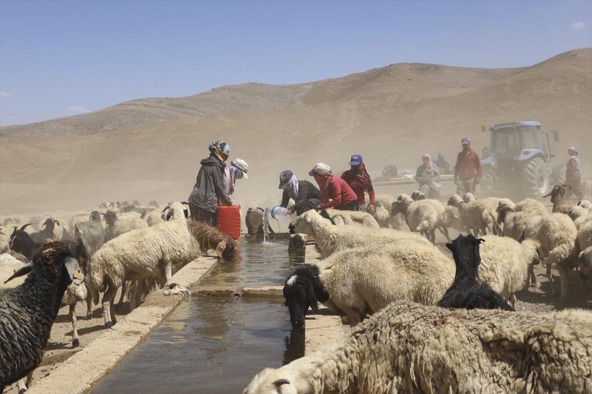 Van'da besiciler, yaylaya su getirilişini halayla kutladı