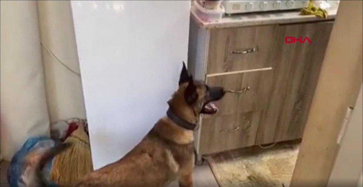 Antalya’da muz serasında uyuşturucu operasyonu