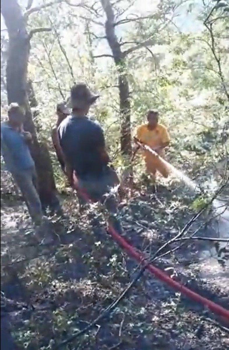 Tokat’ta, ormanlık alanda yangın