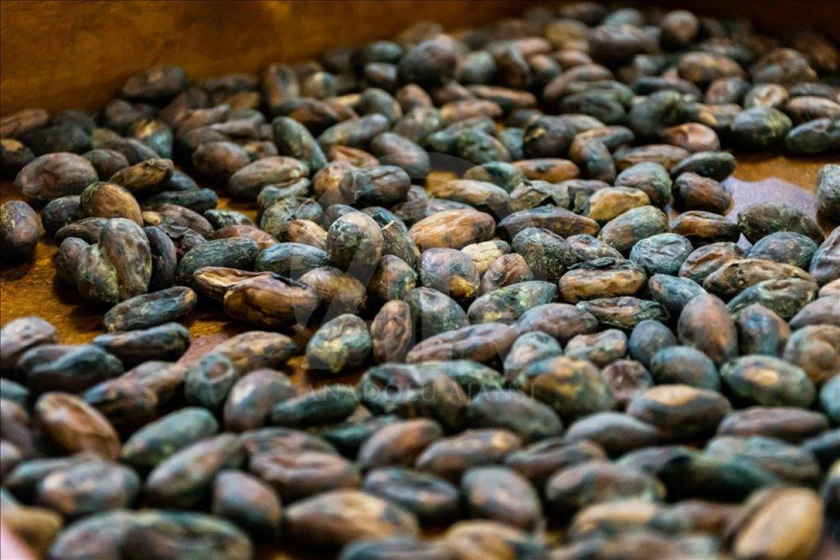 Antioksidan gücü en yüksek 9 besin