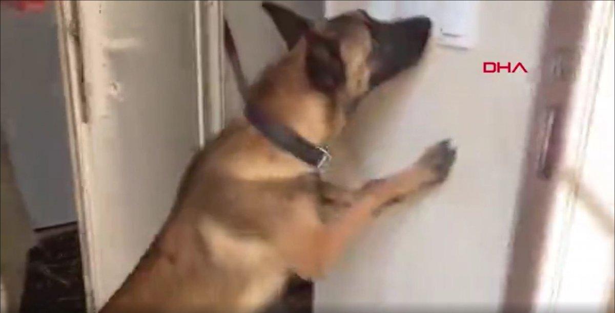 Antalya’da muz serasında uyuşturucu operasyonu