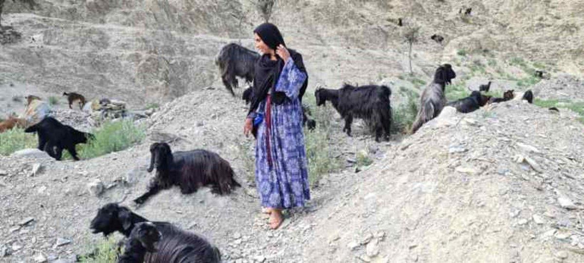 Afgan kadın, ülkesinden ayrılmak istemiyor