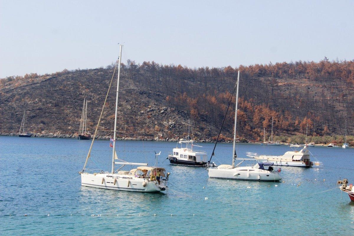 Çökertme Koyu eski günlerine geri döndü