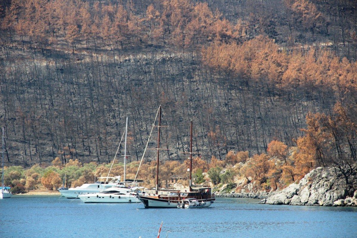 Çökertme Koyu eski günlerine geri döndü