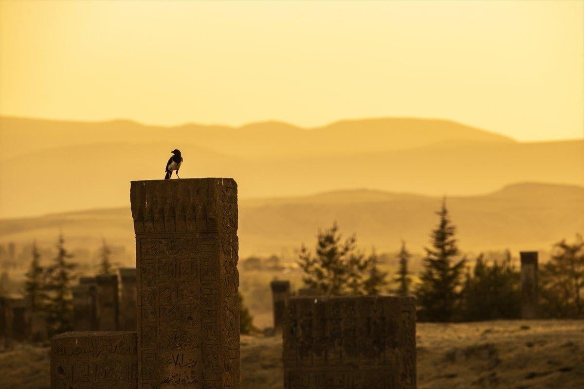 Selçuklu Meydan Mezarlığı, tarihe ışık tutuyor