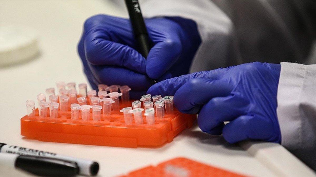 Rusya'da dördüncü korona aşısı tescillendi