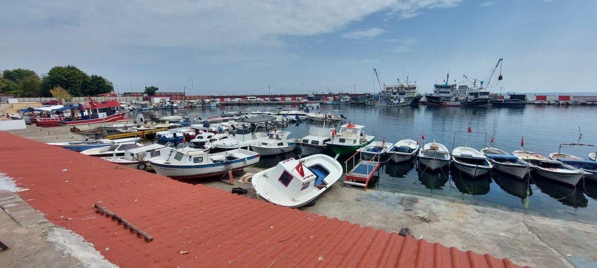 Marmara'da müsilajdan etkilenen balıkçılar 2 kat destek alacak