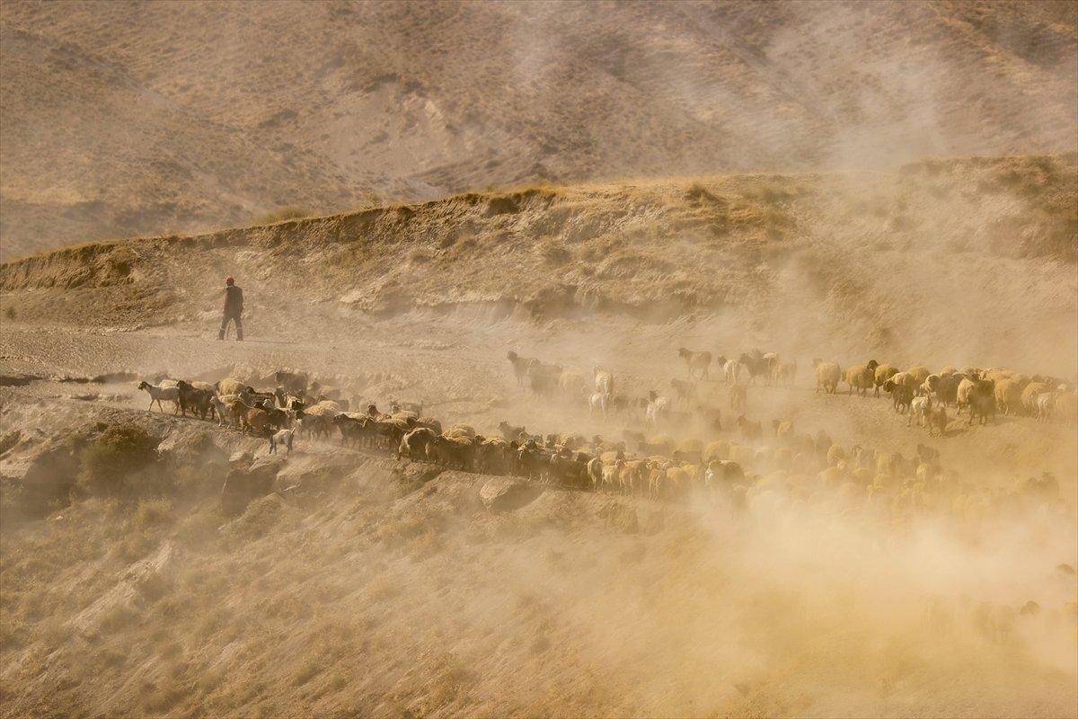 Bitlis'te sürülerin yayla yolculuğu görüntülendi