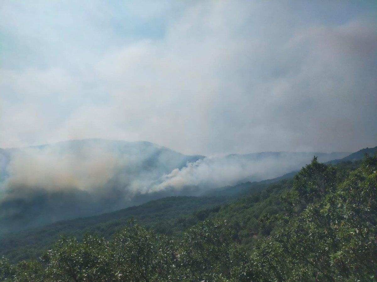 Tunceli Valiliği’nden orman yangınlarına ilişkin açıklama