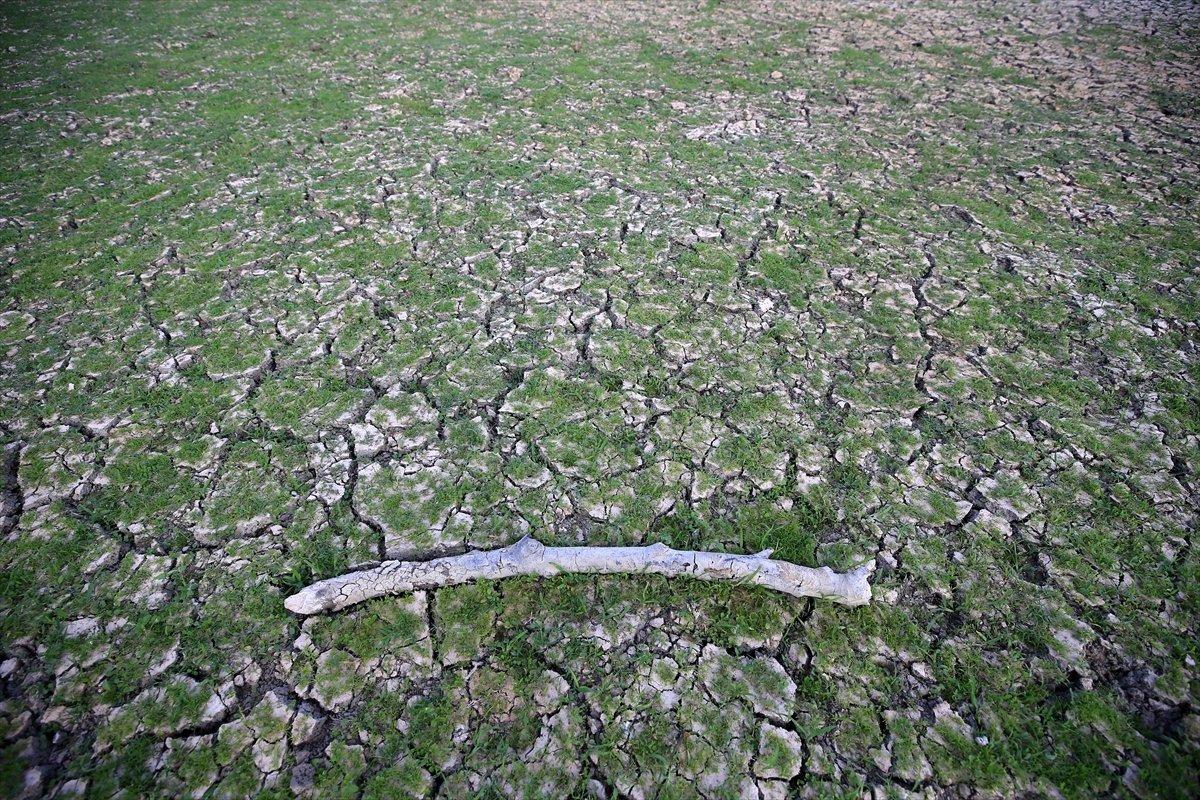 İstanbul'a su sağlayan barajların seviyesi yüzde 58,83'e geriledi