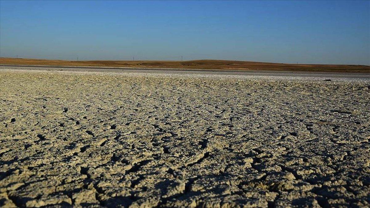 Dünyada sera gazı salınımı, 800 bin yıldır kaydedilen en yüksek seviyede