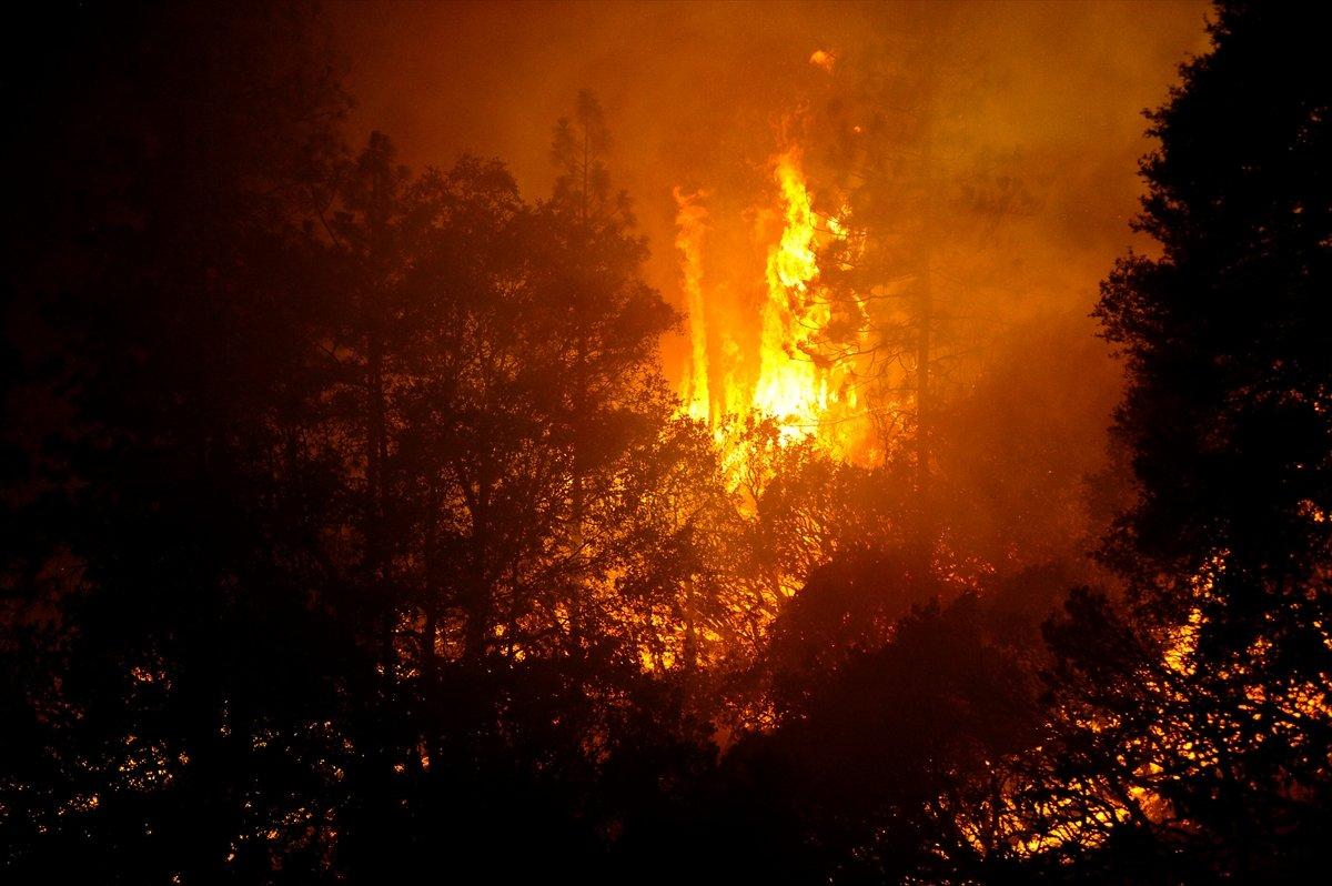 Kaliforniya'da orman yangınlarıyla mücadele devam ediyor