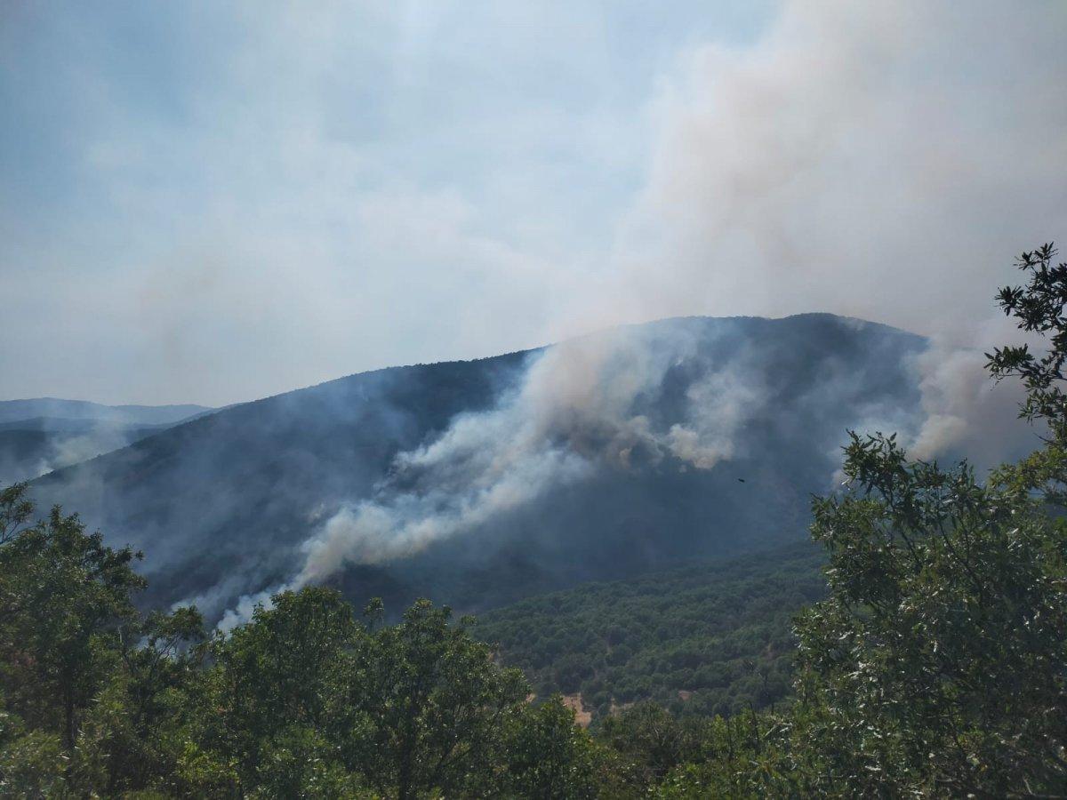 Tunceli Valiliği’nden orman yangınlarına ilişkin açıklama