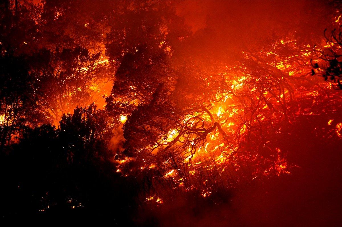 Kaliforniya'da orman yangınlarıyla mücadele devam ediyor