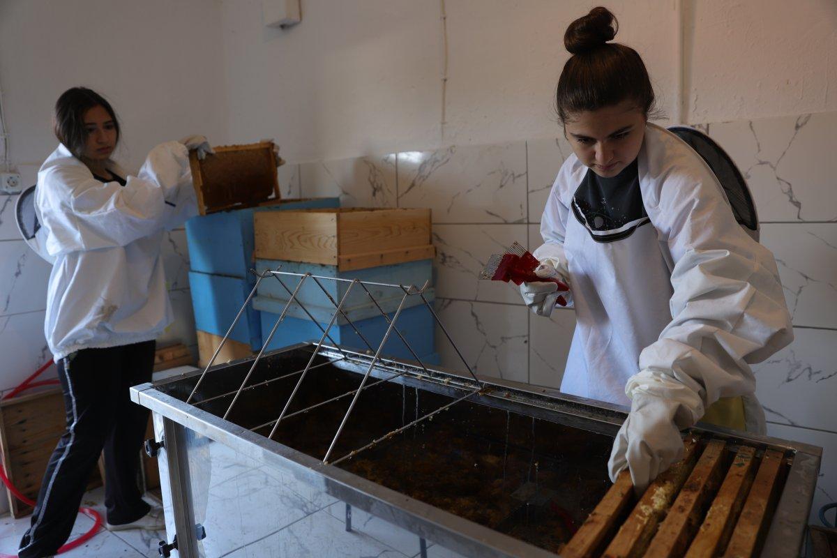 Ardahan'da bal sağımı başladı