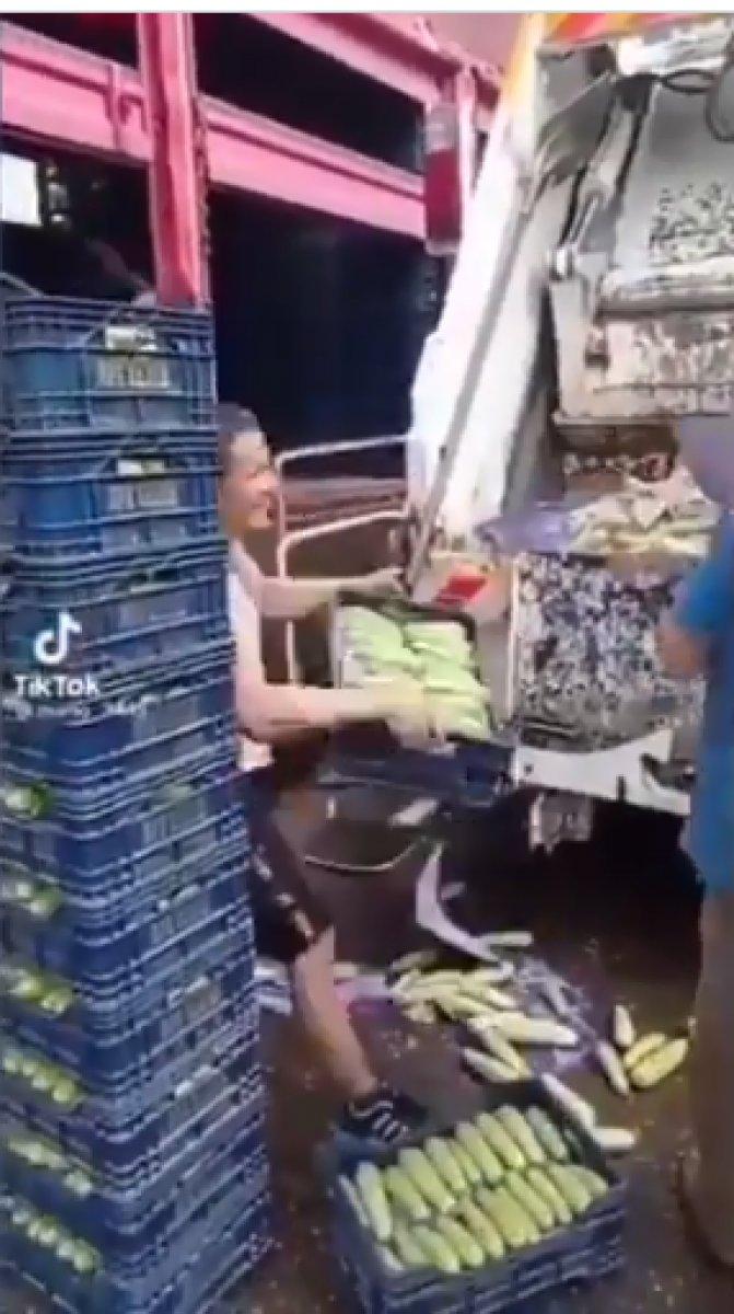 Taze kabaklar fiyatları düşmesin diye çöpe atıldı