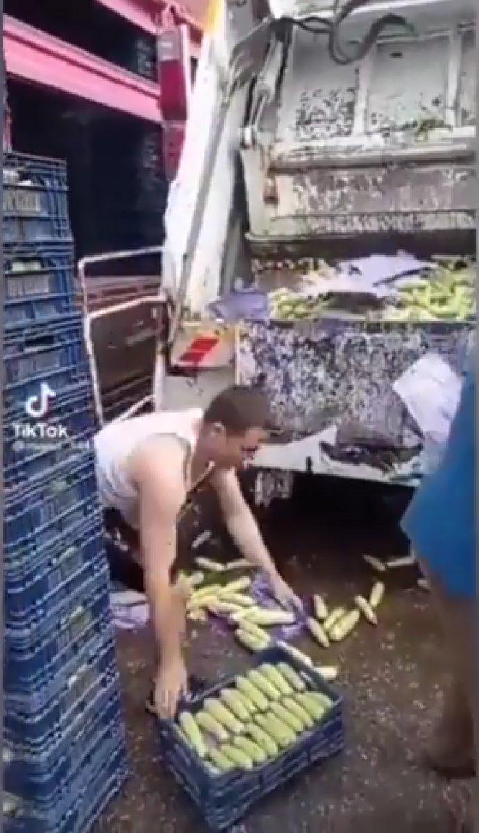 Taze kabaklar fiyatları düşmesin diye çöpe atıldı