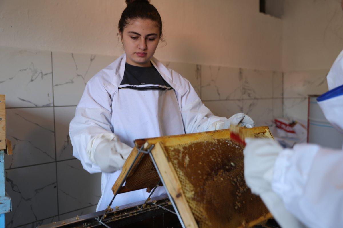 Ardahan'da bal sağımı başladı