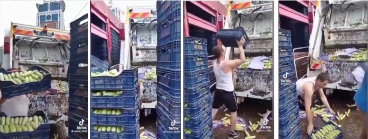 Seze halinde kabakları çöpe attılar