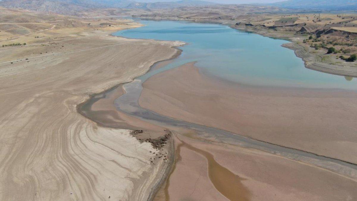 Sivas'ta suların çekildiği baraj, yürüyüş alanına döndü