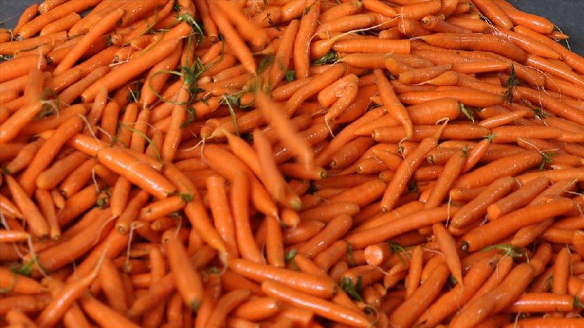 Cildinizi genç tutmak için 7 besin