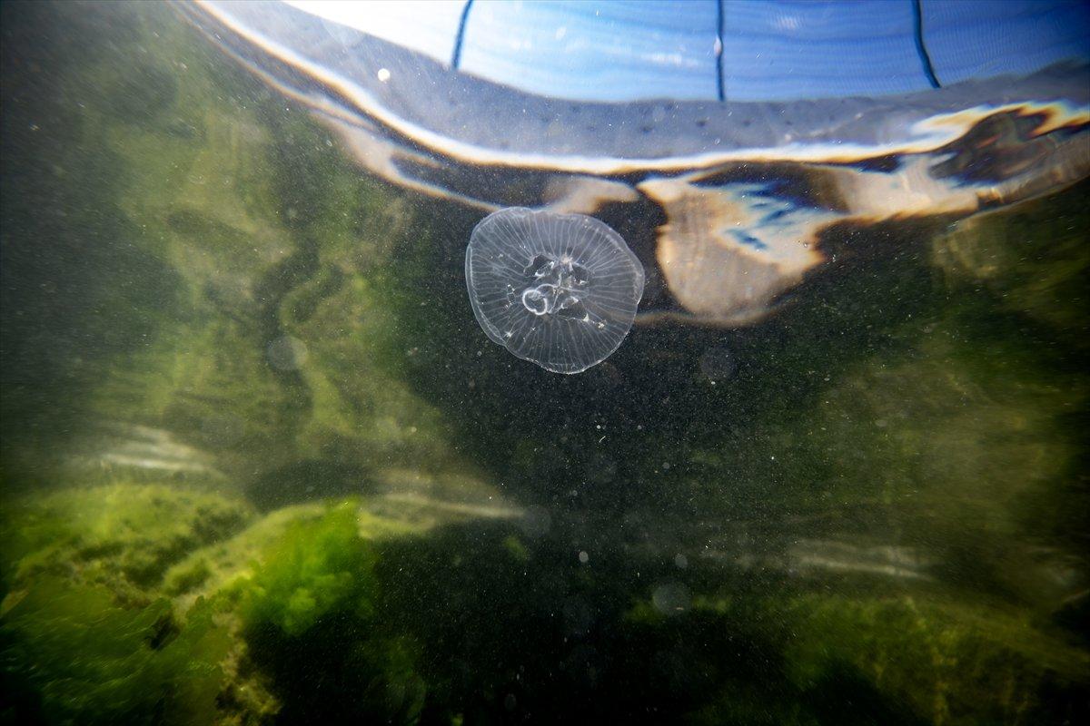 İstanbul sahilleri müsilajdan arındırıldı