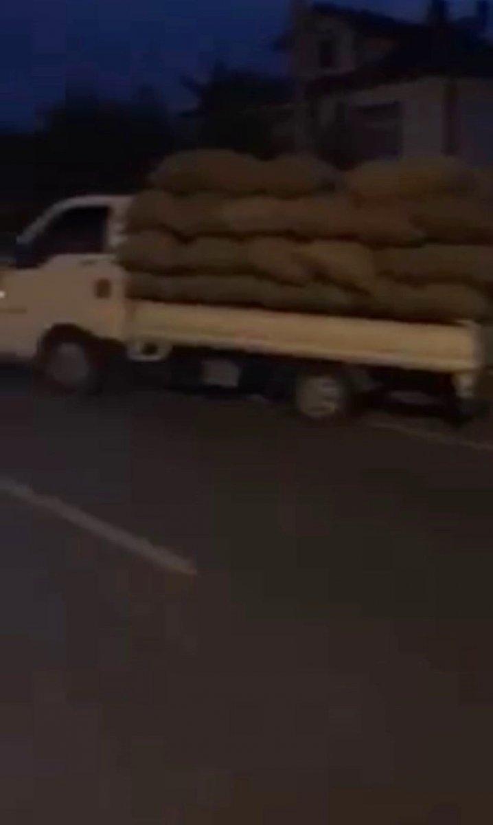 Sakarya'da fındık dolandırıcılığı