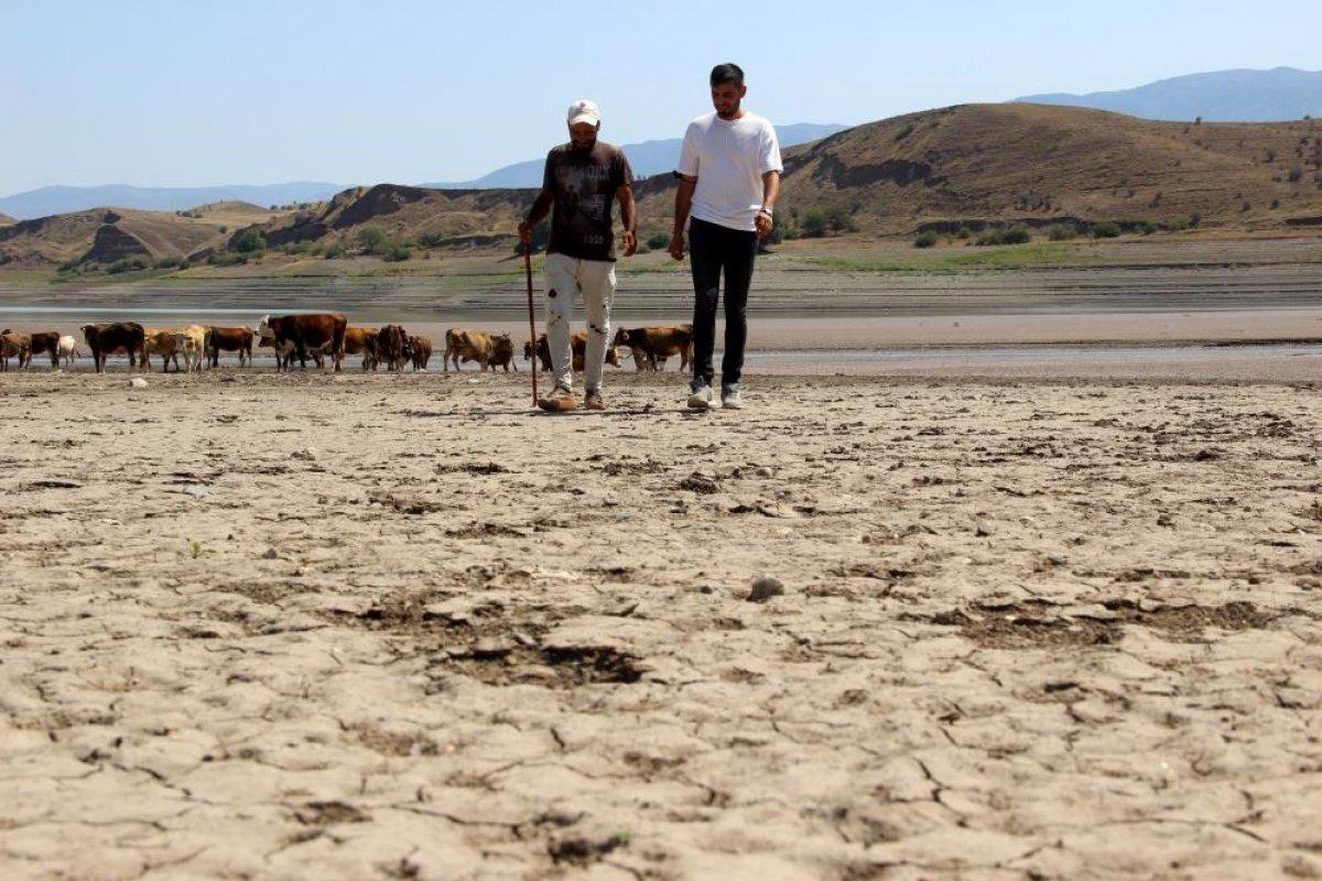 Sivas'ta suların çekildiği baraj, yürüyüş alanına döndü