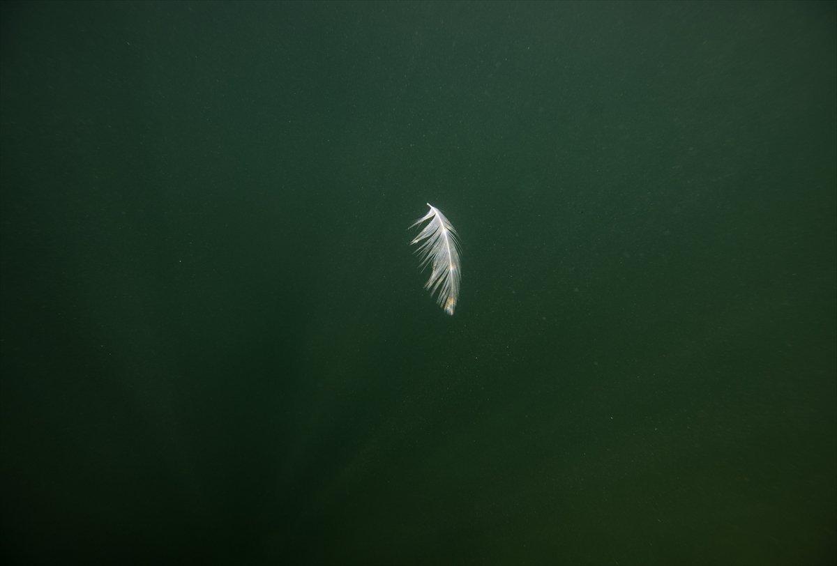 İstanbul sahilleri müsilajdan arındırıldı