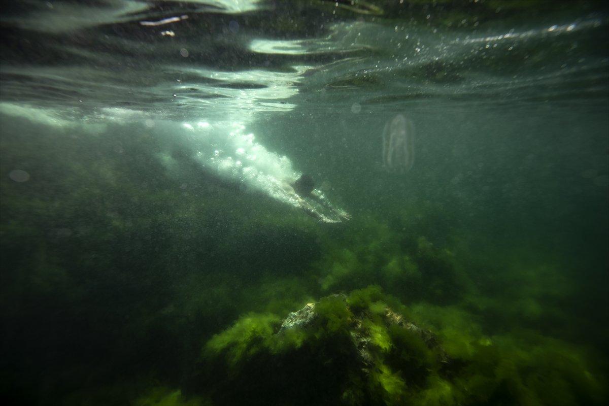 İstanbul sahilleri müsilajdan arındırıldı