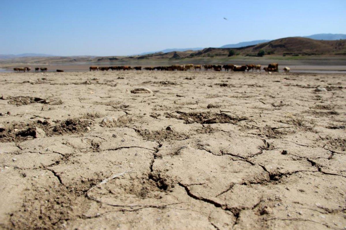 Sivas'ta suların çekildiği baraj, yürüyüş alanına döndü