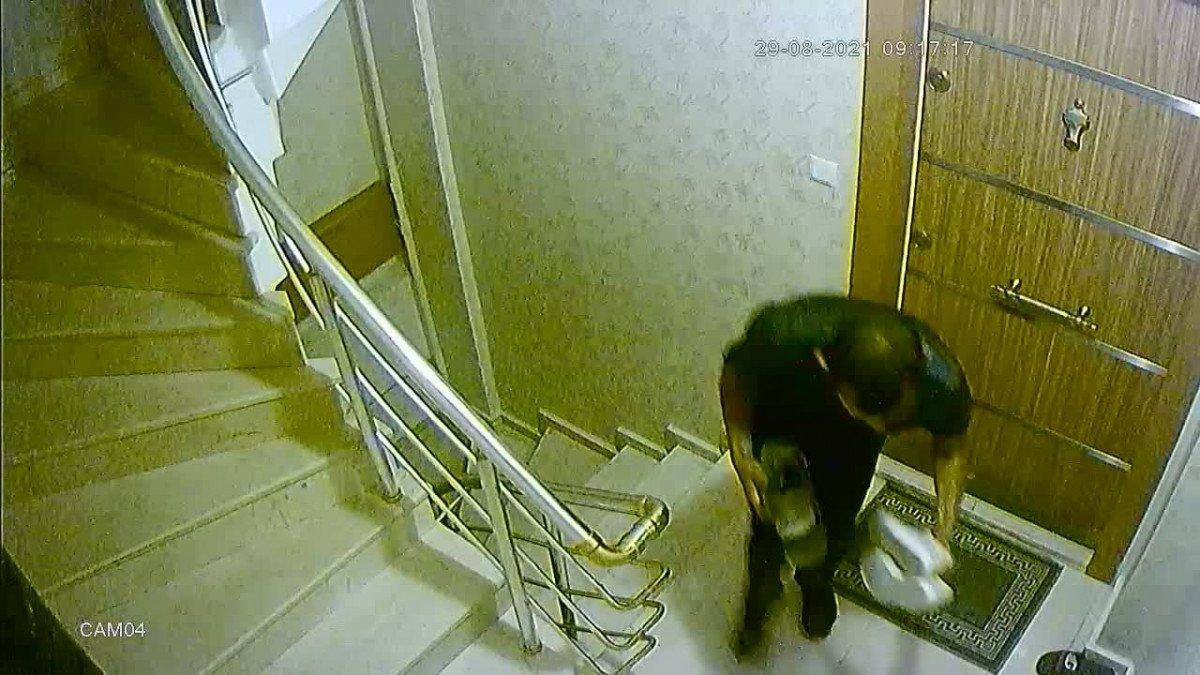 Sultangazi’de, apartmana giren hırsız ayakkabıları topladı