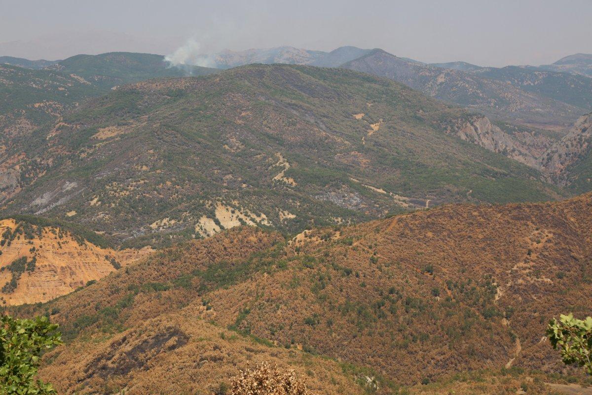 Tunceli’de, yangınlar kontrol altında