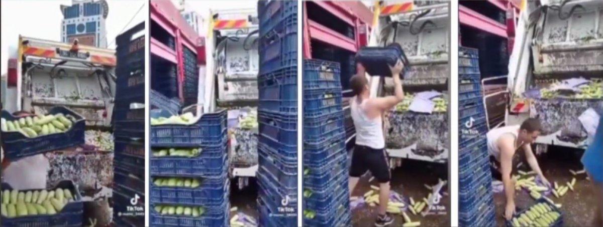 Ataşehir'de, kasalarca kabağı çöpe döken şahıstan açıklama