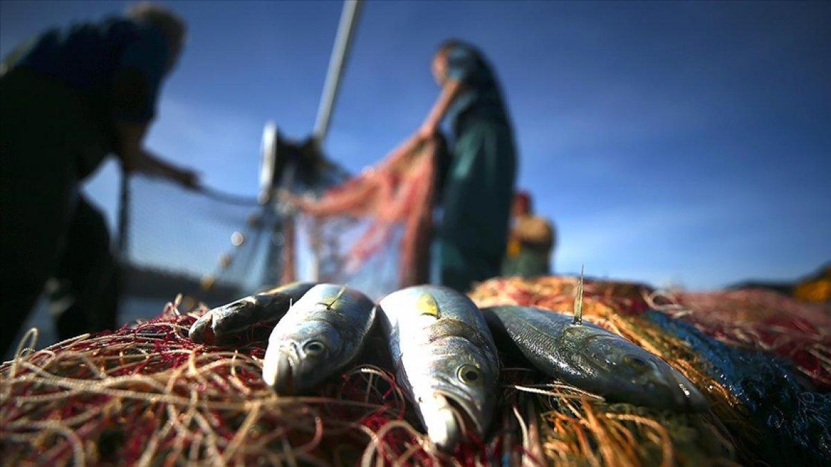 Av sezonu başlıyor