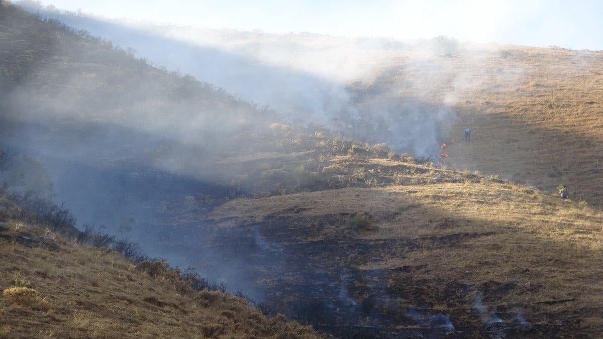 Bitlis’teki örtü yangını ormanlık alana sıçramadan kontrol altına alındı