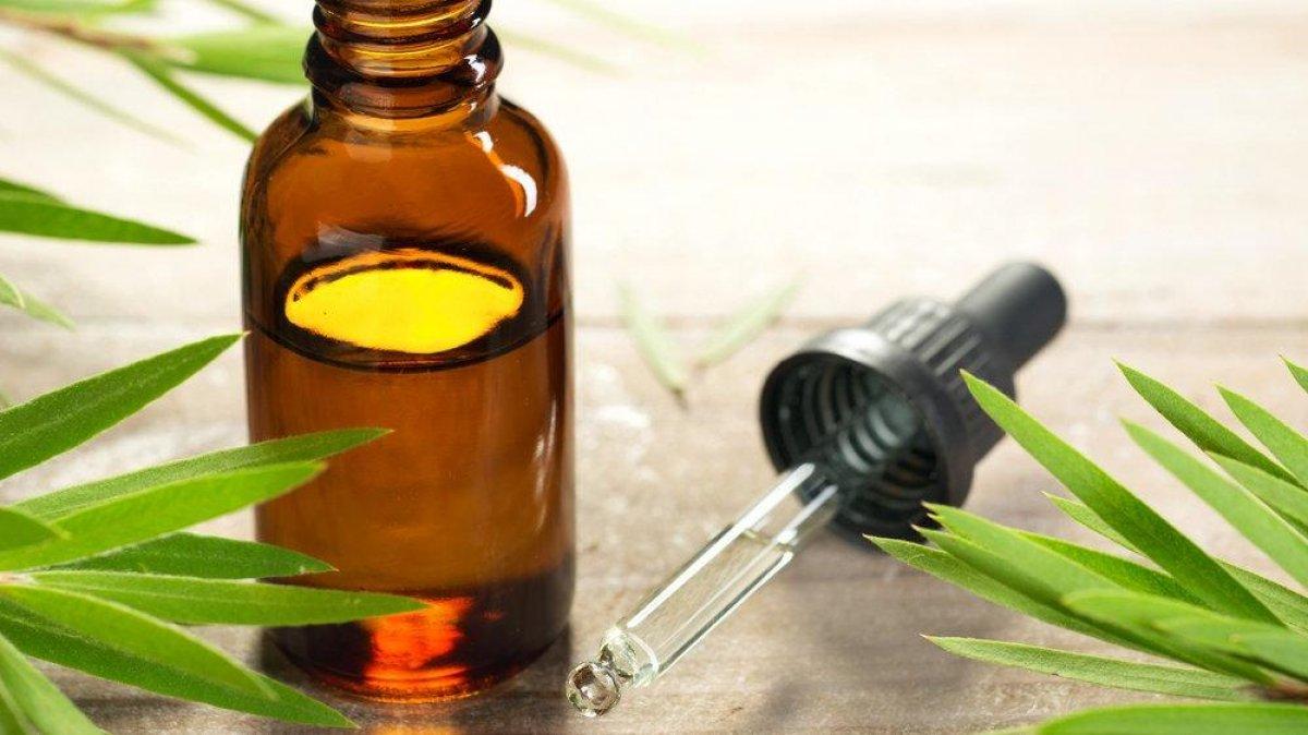 Bir damlası bile etkili: Çay ağacı yağının 7 mucizevi faydası