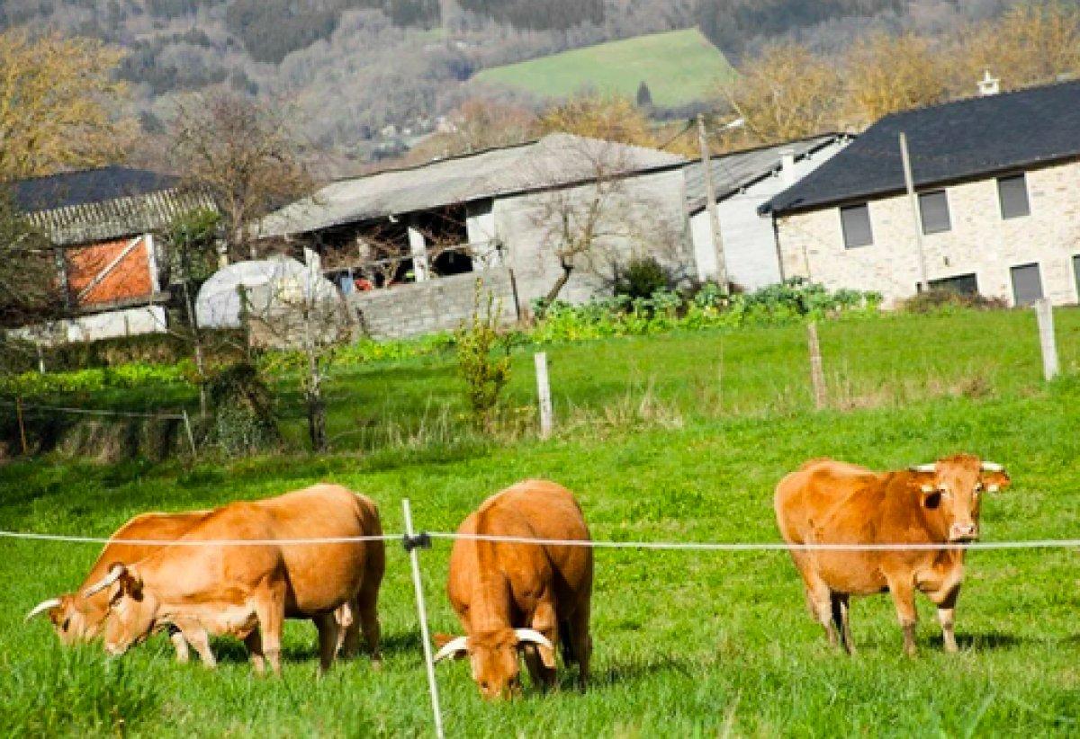 Avrupa'da köylere taşınanlara 44 bin euro teşvik verilecek