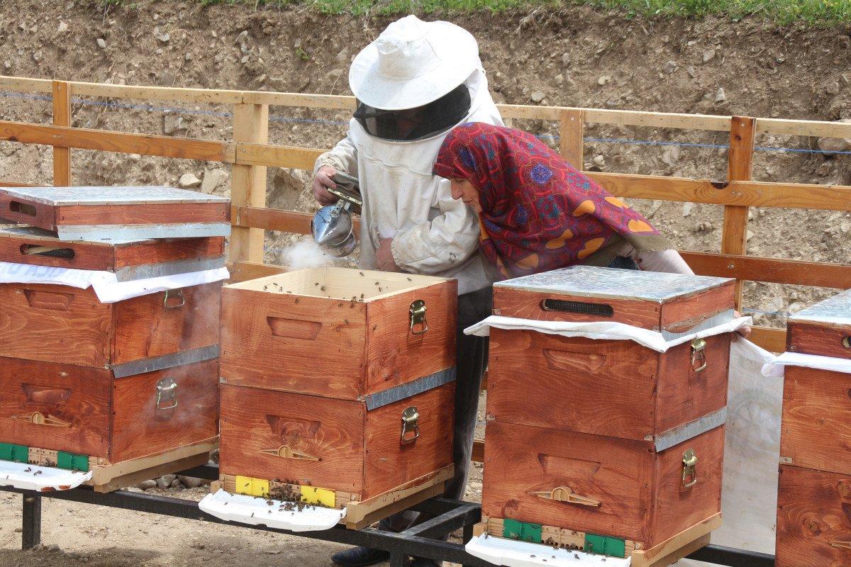 Anzer balının kilosu 1200 TL oldu, 1 ton sipariş var