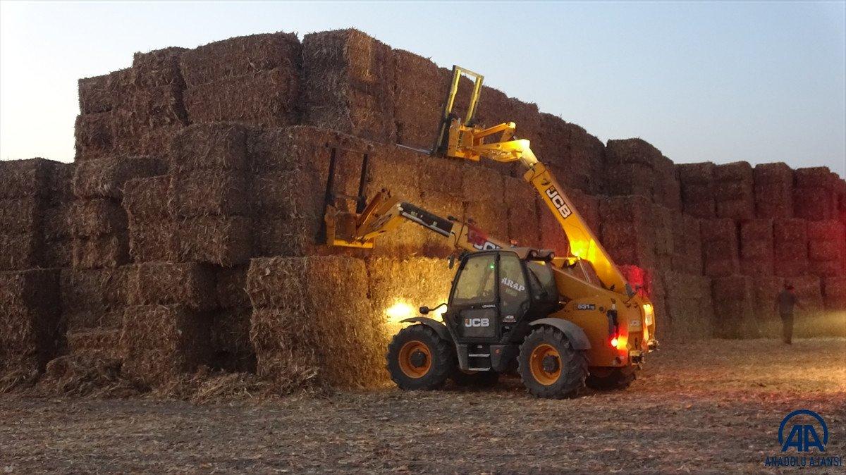 Adana'da mısır silajı balyalarının bulunduğu tarlada yangın çıktı